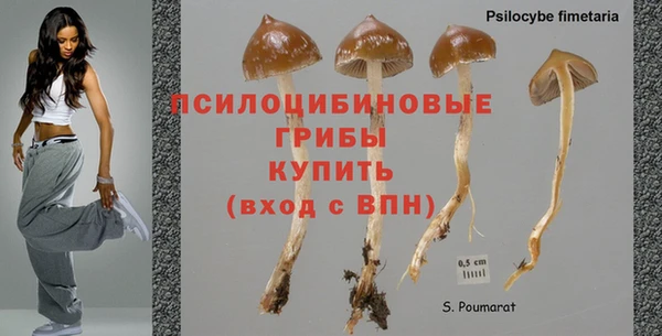ECSTASY Абдулино